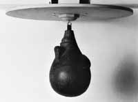 na29fo02.jpg (5030 bytes)