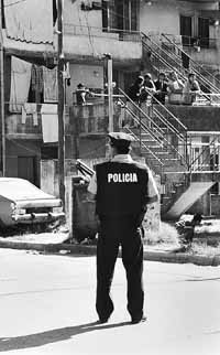 na16fo01.jpg (18187 bytes)