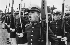 na20fo01.jpg (15240 bytes)