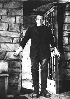 na10fo01.jpg (18699 bytes)