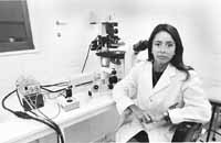 na14fo01.jpg (9013 bytes)