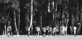 na23fo02.jpg (11346 bytes)