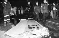 na15fo01.jpg (10128 bytes)