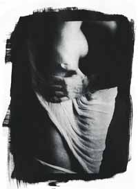 na32fo01.jpg (10721 bytes)