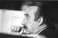 na10fo01.jpg (6100 bytes)