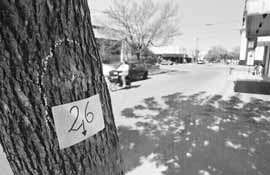 na02fo01.jpg (13368 bytes)