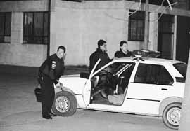 na03fo01.jpg (11955 bytes)