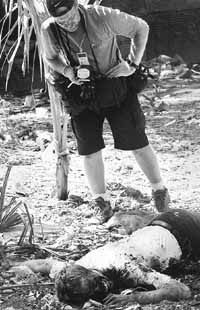 na23fo01.jpg (20977 bytes)