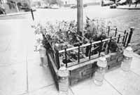 na18fo01.jpg (9817 bytes)