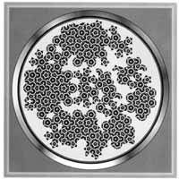 na31fo01.jpg (18915 bytes)