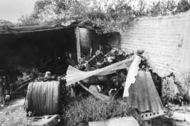 na08fo01.jpg (17056 bytes)