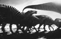 na27fo10.jpg (8376 bytes)