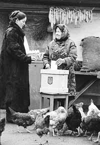 na16fo01.jpg (17516 bytes)