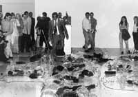 na33fo01.jpg (10858 bytes)