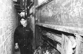 na06fo01.jpg (12811 bytes)