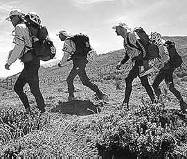 na28fo04.jpg (30204 bytes)