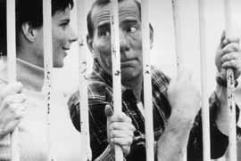 na23fo01.jpg (11515 bytes)