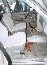 na01fo01.jpg (13821 bytes)