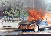 na01fo03.jpg (11913 bytes)