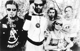 na33fo01.jpg (15346 bytes)