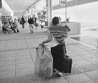 na14fo01.jpg (8904 bytes)