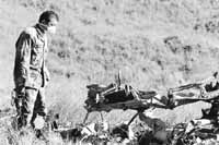 na15fo02.jpg (12322 bytes)