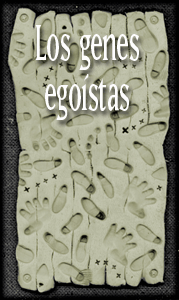Los genes ego&iacute;stas
