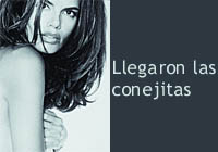 llegaron las conejitas