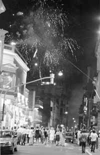 na02fo01.jpg (14540 bytes)