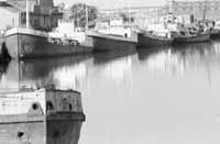 na17fo01.jpg (6924 bytes)