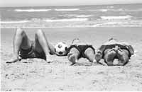 na14fo01.jpg (7721 bytes)