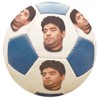 na01fo01.gif (23199 bytes)