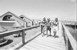 na14fo01.jpg (10256 bytes)