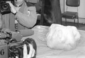 na16fo01.jpg (10781 bytes)