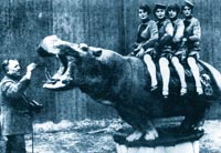 El célebre hipopotamo oedipus, que viajaba en un vagón propio provisto de agua templada.