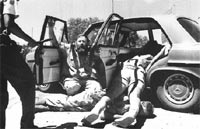 alwyn wolfaardt suplica por su vida momentos antes de ser ejecutado por un policia, bophuthatswana, marzo de 1994 (fotos de kevin carter).