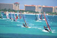 Surfwing frente a las playas. Un enjambre de velas que deslizan los vientos alisios de Aruba.