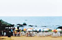 Sombrillas y barraquitas para saborear camarones, ostras y pescados.