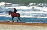 Cabalgata a paso tranquilo al borde de las olas.