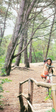 Una bicicleteada por los bosques de Pinamar.