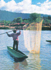 Las curiosas redes de Michoac&aacute;n, el lugar de pescadores.