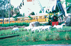 Un escenario africano en el sur de La Florida.