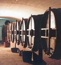 San Juan es hogar de mùltiples y antiguas bodegas vitivinìcolas.
