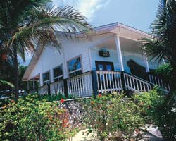 Casas de estilo antillano y pintadas con colores pastel, no más altas que una palmera.
