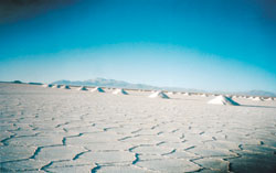 El desierto blanco de las Salinas Grandes: un suelo resquebrajado con extra&ntilde;as pir&aacute;mides de sal que brillan bajo el sol.