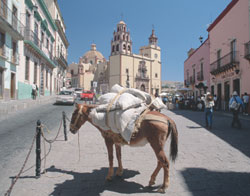 Inconfundiblemente mexicana, una vista de una de las plazas y templos de Guanajuato.