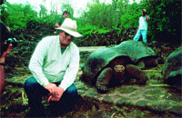 Las famosas tortugas gigantes que le dieron su nombre al archipi&eacute;lago. Algunas subespecies est&aacute;n al borde de la extinci&oacute;n: de una queda apenas un macho solitario.