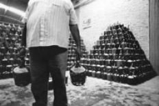 /fotos/20020226/notas/pag16.jpg