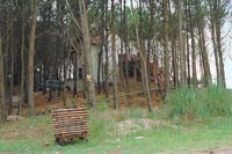/fotos/20051031/notas/NA14FO01.JPG