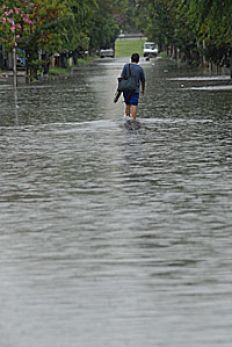 /fotos/20070227/notas/Temporal.jpg